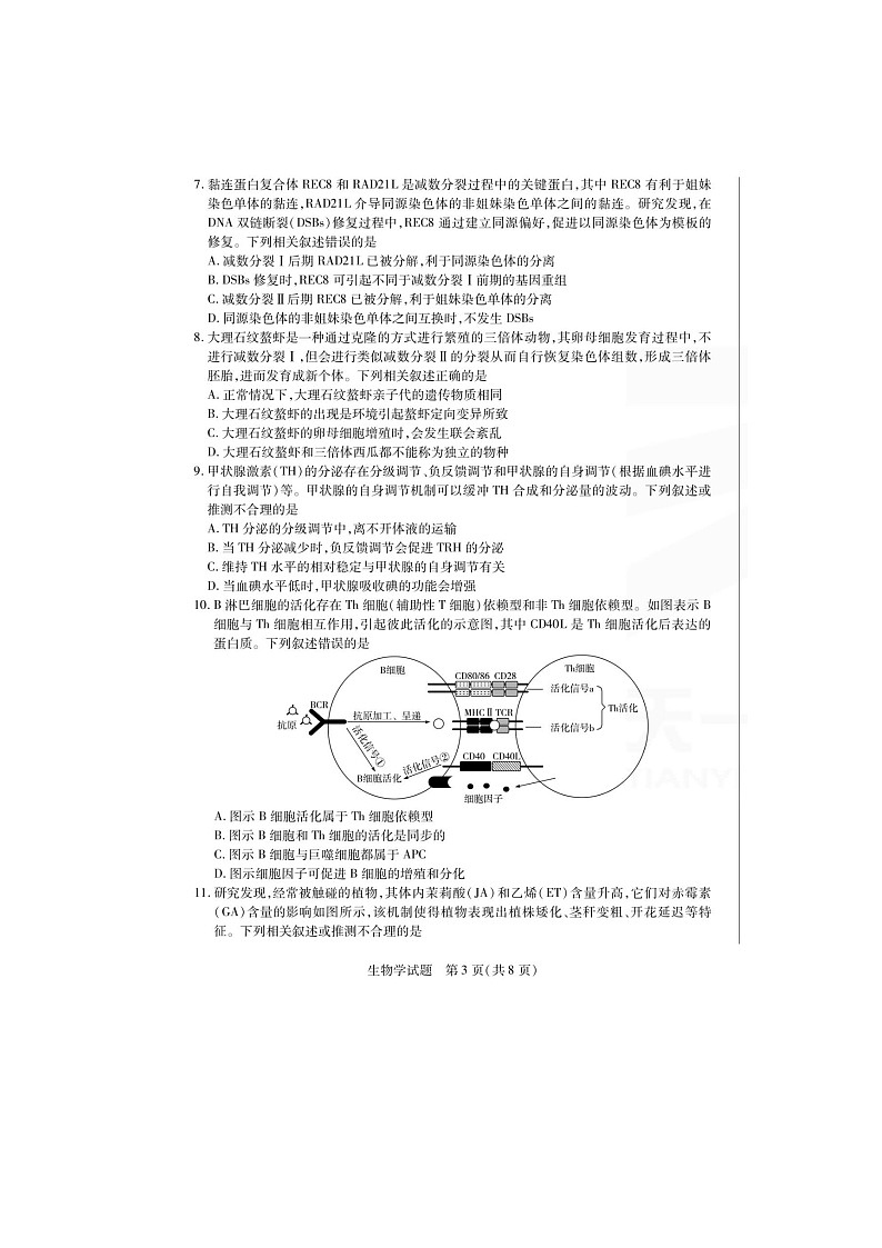 皖豫名校联盟2024-2025学年下期高三4月份（月考）检测生物试卷含答案第3页