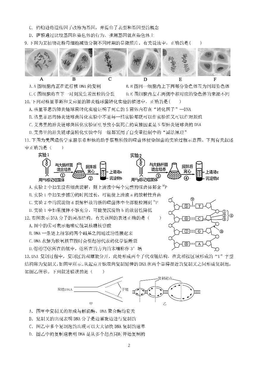 高一生物下期半期考试试卷第2页