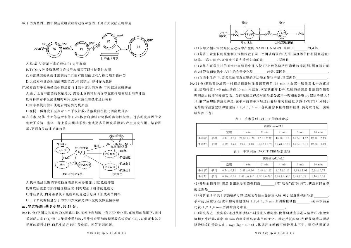 百师联盟2024届高三一轮复习(五)河北卷生物试卷（含答案）第3页