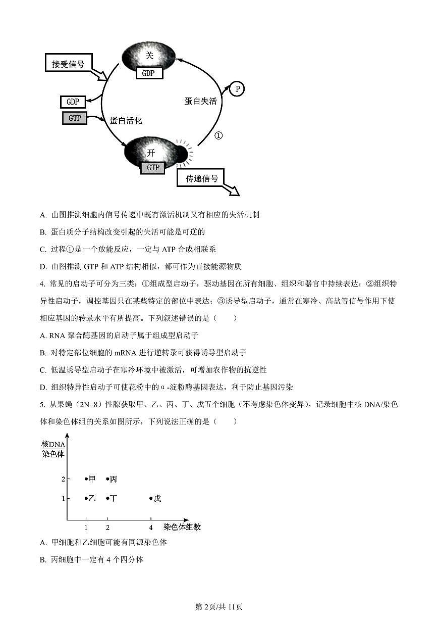 重庆市一中2023-2024学年高三12月月考生物试卷（含答案）第2页