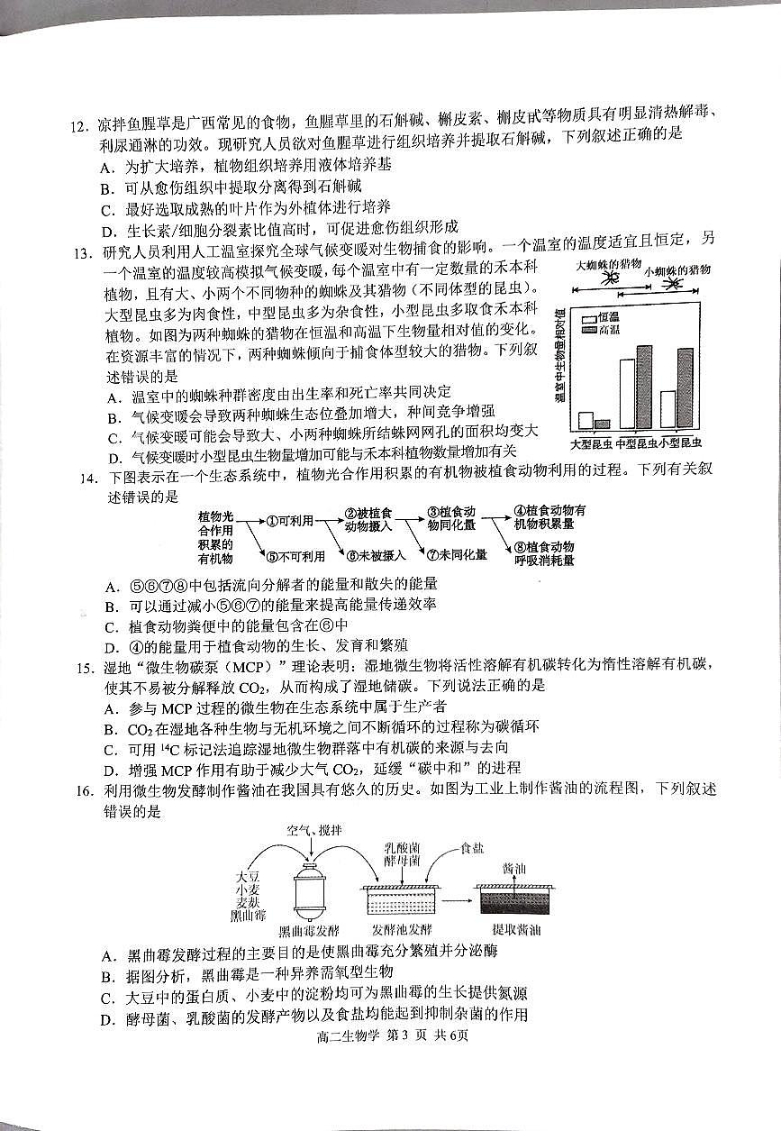 广西河池市十校联体2024-2025学年高二下学期第一次联考生物试卷（PDF版附解析）第3页