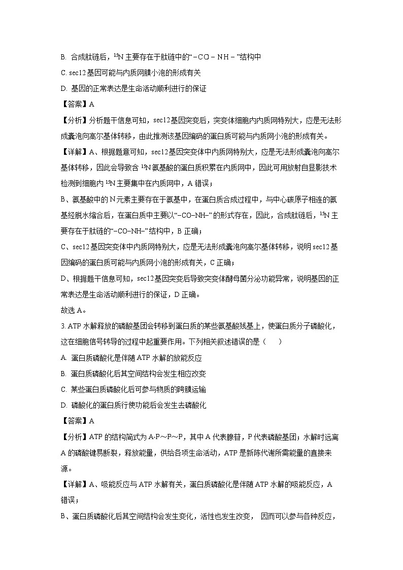 甘肃省酒泉市2024-2025学年高三上学期1月期末生物试卷（解析版）第2页