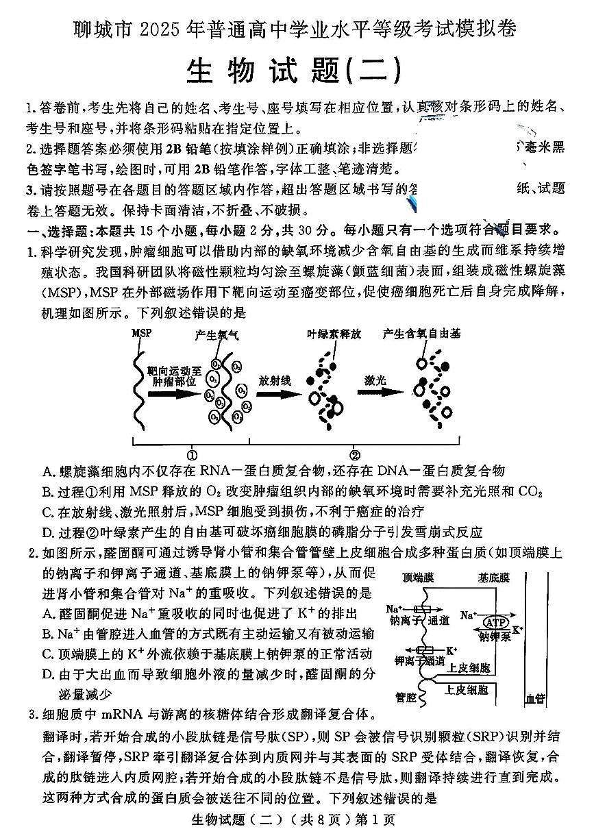 山东省聊城市2025年高考模拟试题（二）生物试题及答案第1页