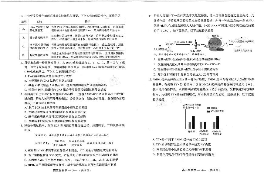 2024-2025学年福州市高三年级第四次质量检测生物第2页