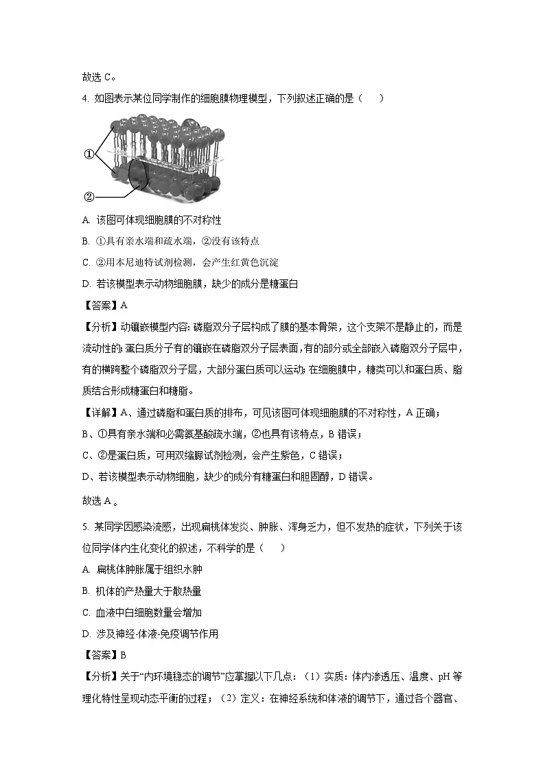 浙江省七彩阳光新高考研究联盟2024-2025学年高三下学期开学联考生物试卷（解析版）第3页