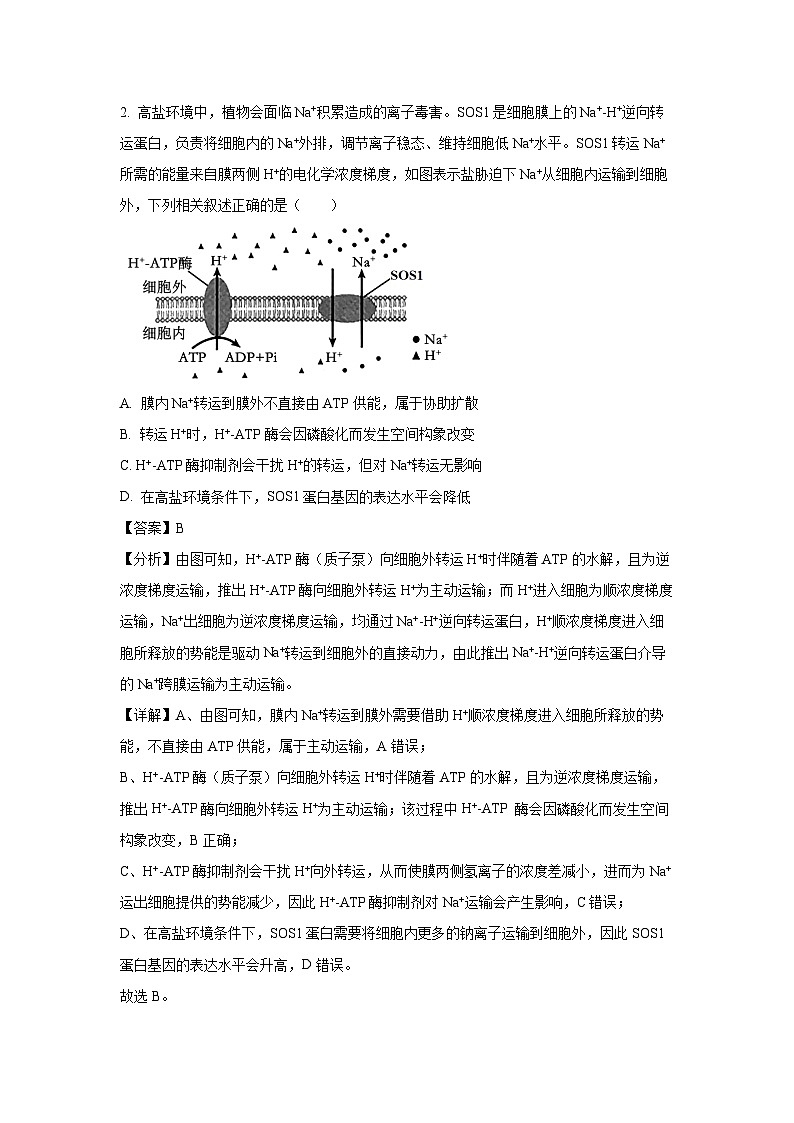 贵州省铜仁市2024—2025学年高三下学期第一次模拟考试生物试卷（解析版）第2页