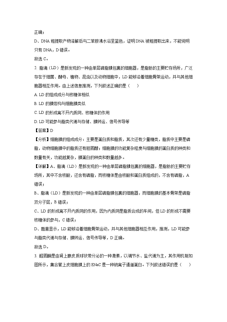 贵州省贵州六校联考2024-2025学年高三下学期3月月考生物试卷（解析版）第2页