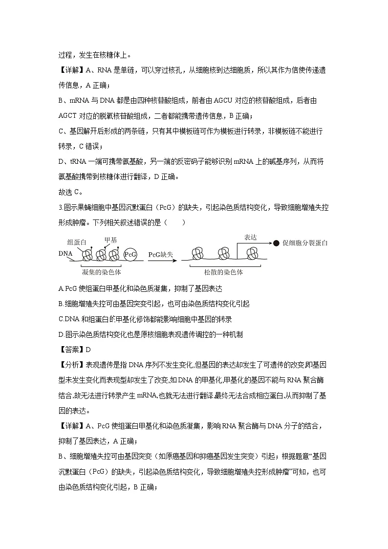 湖南省株洲市炎陵县2024-2025学年高二下学期开学考试生物试卷（解析版）第2页