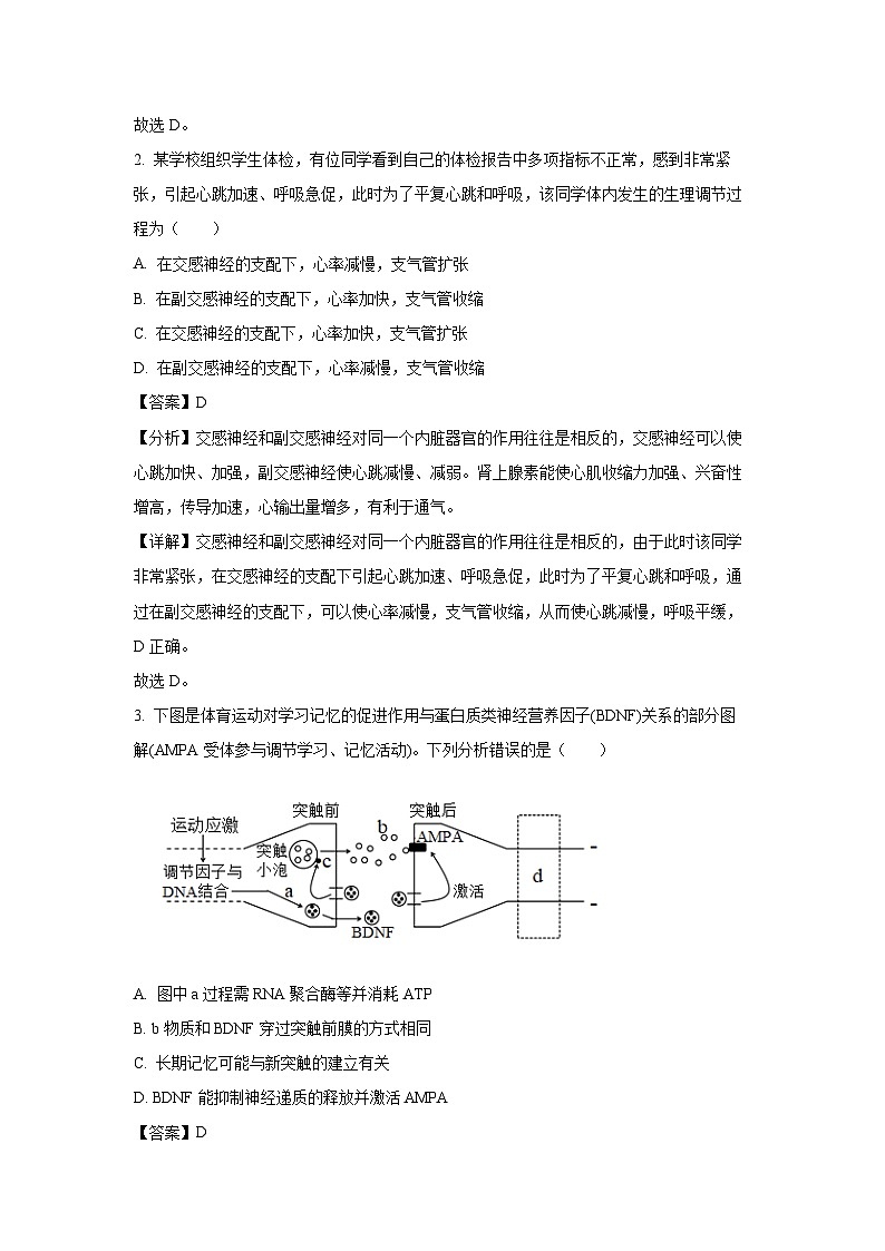 湖北省随州市部分高中联考协作体2024-2025学年高二上学期12月月考生物试卷（解析版）第2页