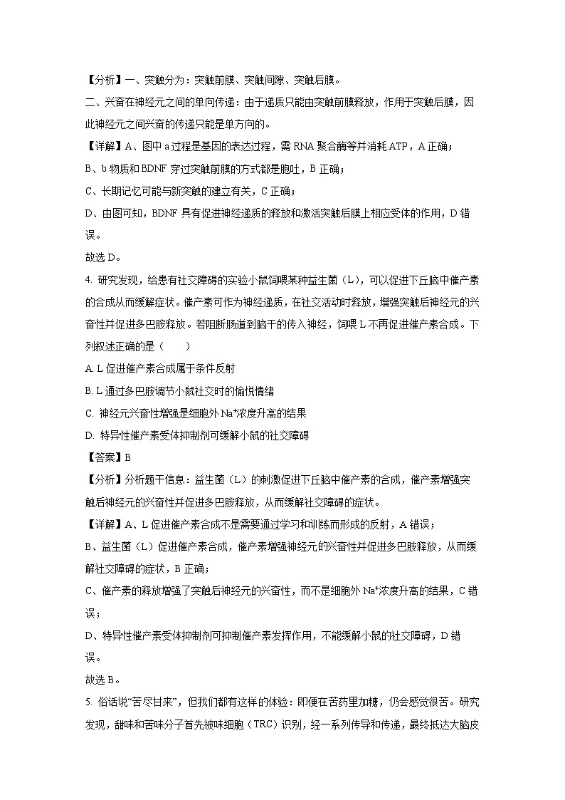 湖北省随州市部分高中联考协作体2024-2025学年高二上学期12月月考生物试卷（解析版）第3页