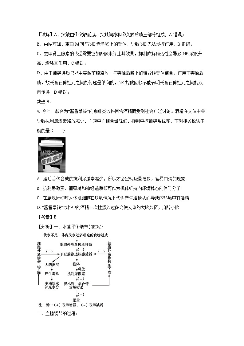 湖北省荆州中学2024-2025学年高二下学期起点考试生物试卷（解析版）第3页