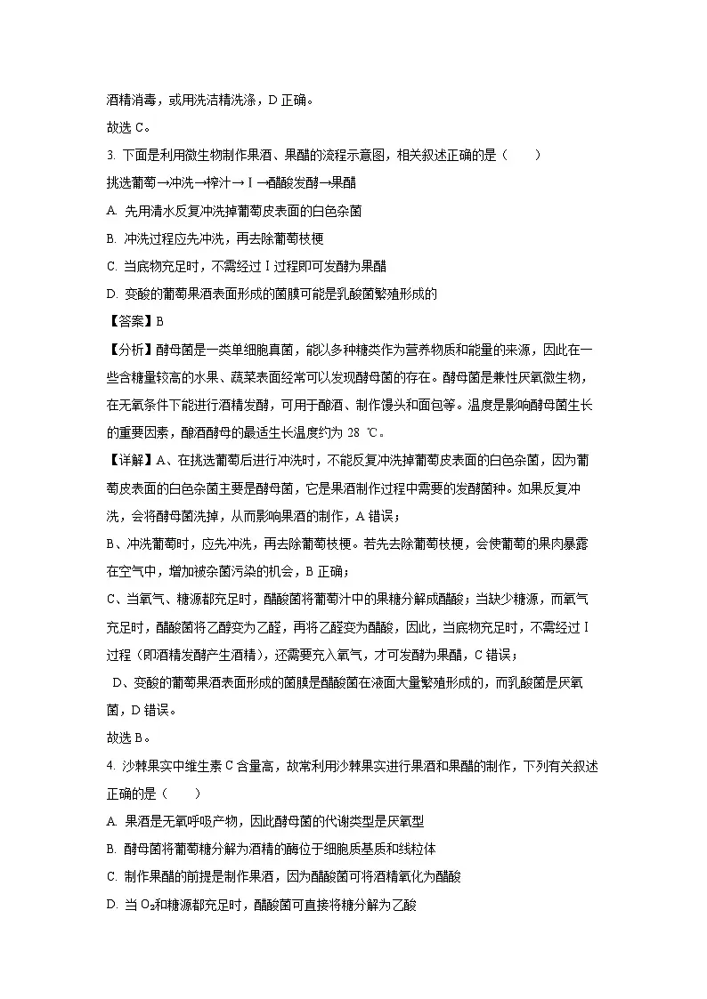 河北省沧州市沧州运东四县联考2024-2025学年高二下学期3月月考生物试卷（解析版）第3页
