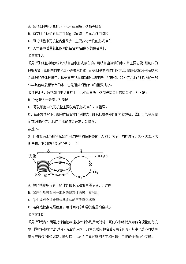 河北省沧州市2025届沧衡八县联考高考一模生物试卷（解析版）第2页