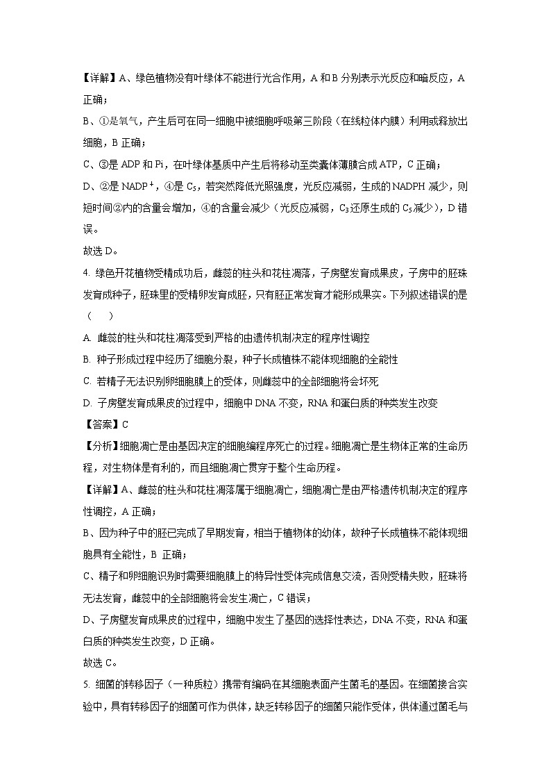 河北省沧州市2025届沧衡八县联考高考一模生物试卷（解析版）第3页