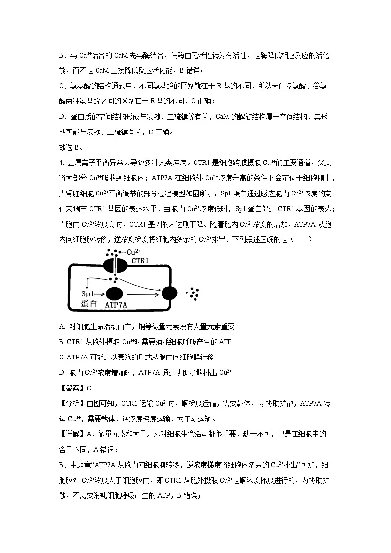 河北省承德市2024-2025学年高三上学期期末考试生物试卷（解析版）第3页