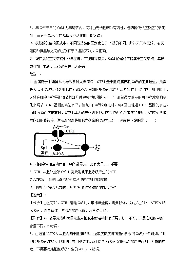 河北省承德市2024-2025学年高三上学期期末考试生物试卷（解析版）第3页