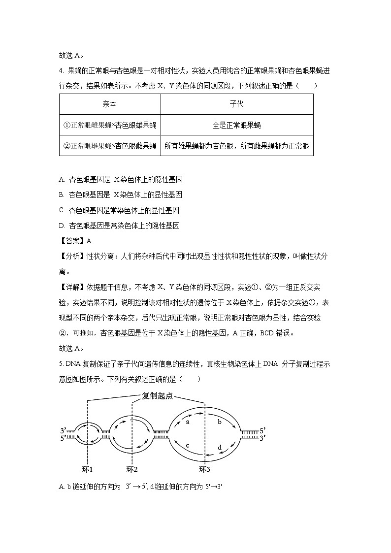 河北省定州市2023-2024学年高一下学期期末考试生物试卷（解析版）第3页