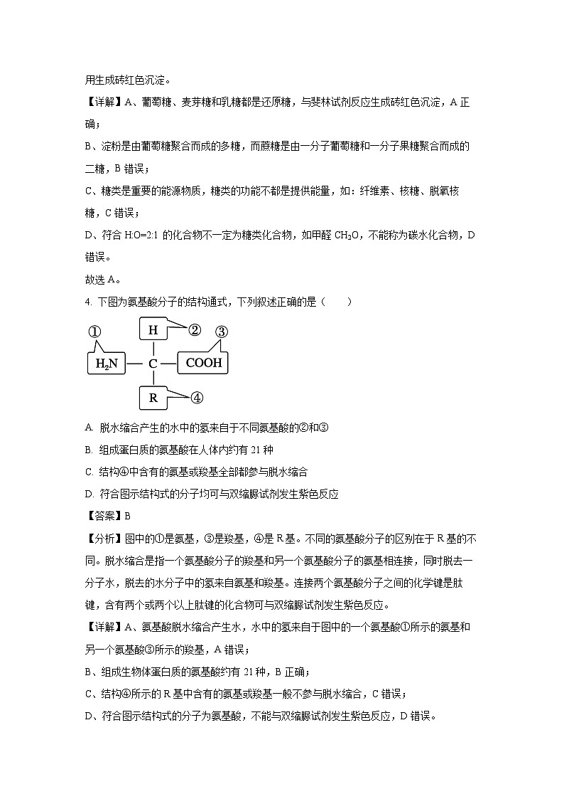 河北省唐山市迁安市第一中学2024-2025学年高一下学期开学考试生物试卷（解析版）第3页