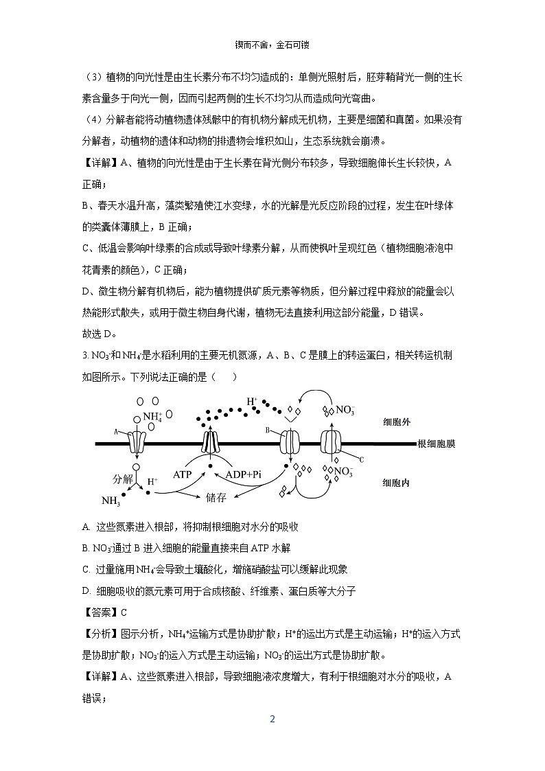 江西省重点中学盟校2025届高三下学期第一次联考生物试卷（解析版）第2页