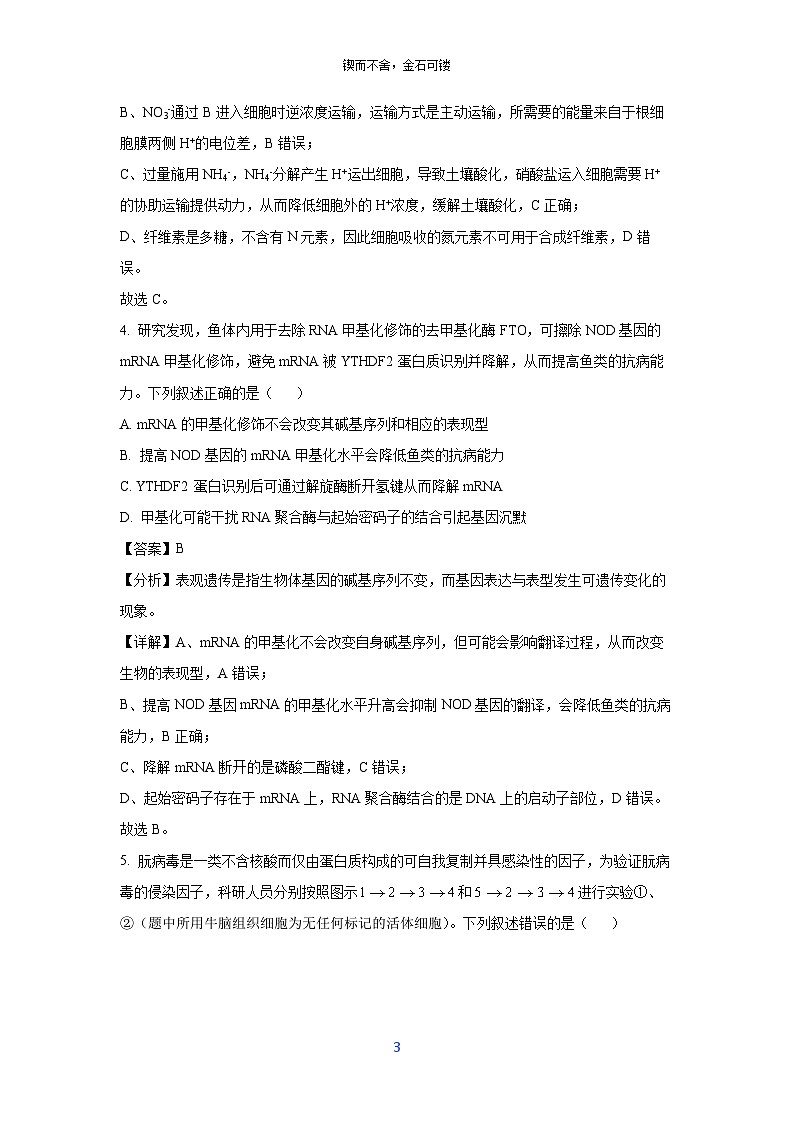 江西省重点中学盟校2025届高三下学期第一次联考生物试卷（解析版）第3页