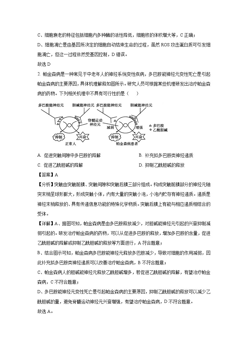 江西省部分校联考2024-2025学年高三下学期2月月考生物试卷（解析版）第2页