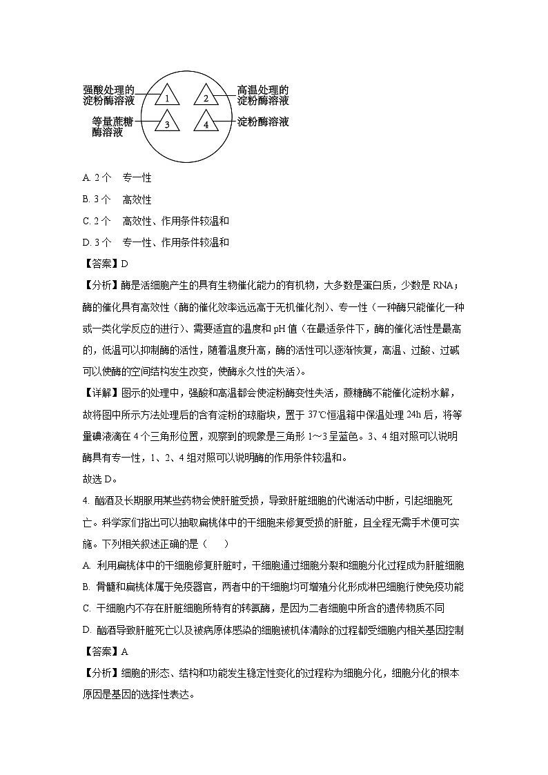 江西省部分学校2024-2025学年高三下学期3月月考生物试卷（解析版）第3页
