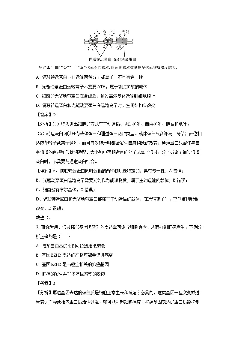 江西省部分学校2024-2025学年高三上学期1月期末生物试卷（解析版）第2页