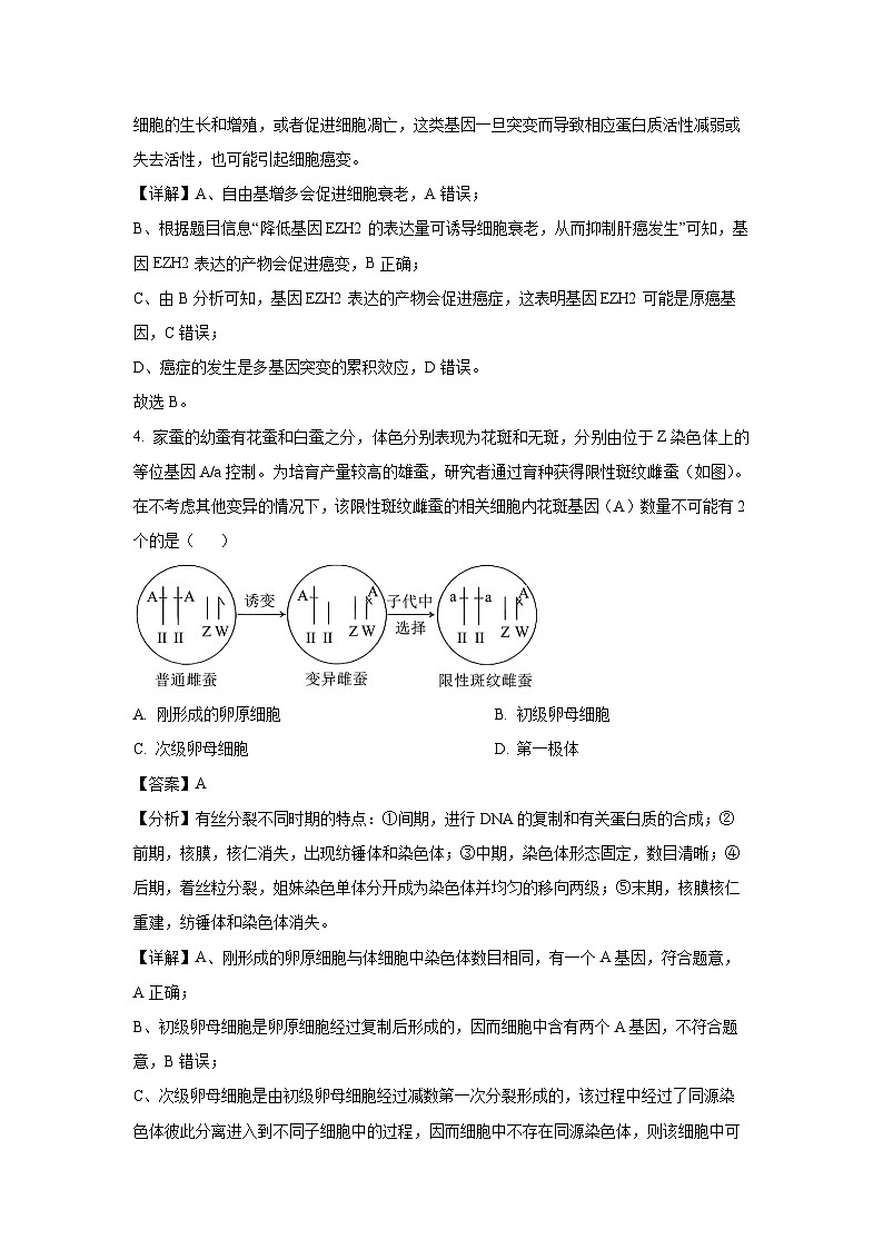 江西省部分学校2024-2025学年高三上学期1月期末生物试卷（解析版）第3页