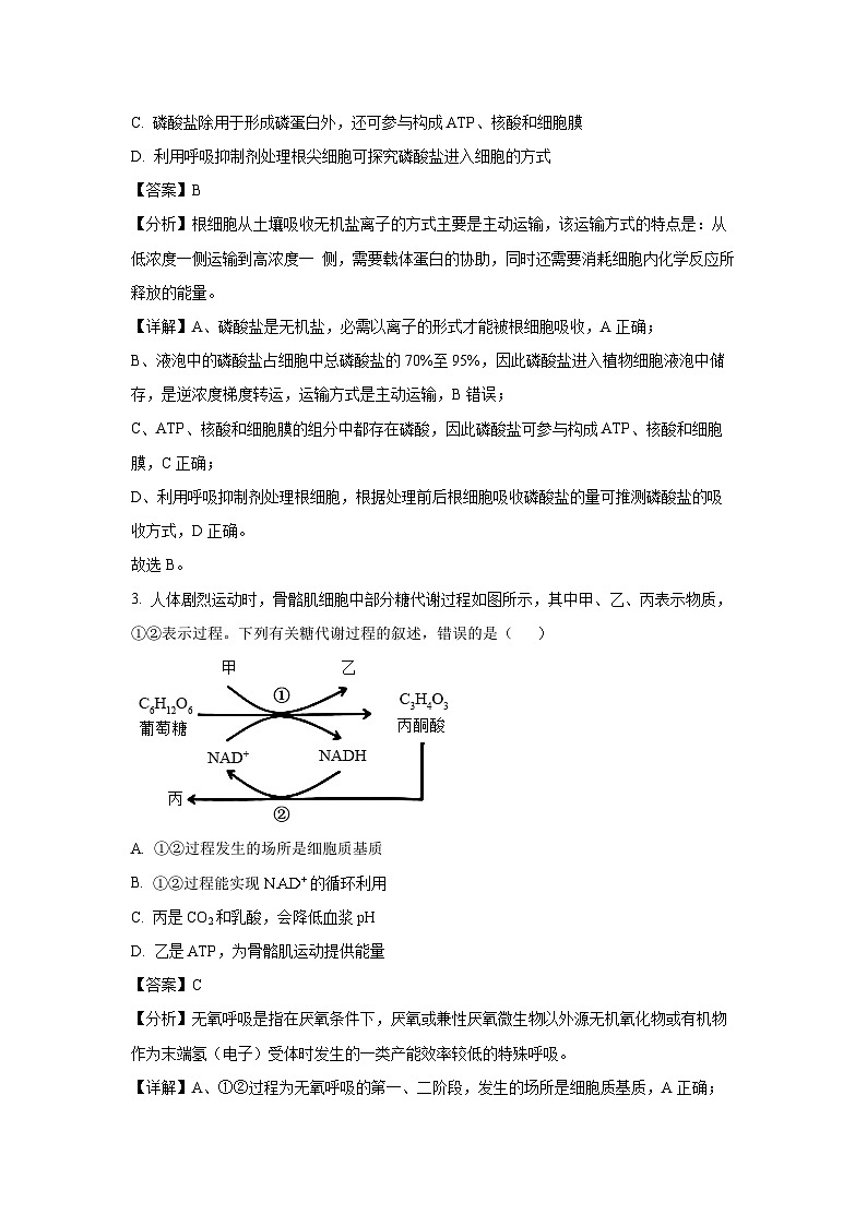 江西省赣州市2025届高三一模[高考模拟]生物试卷（解析版）第2页