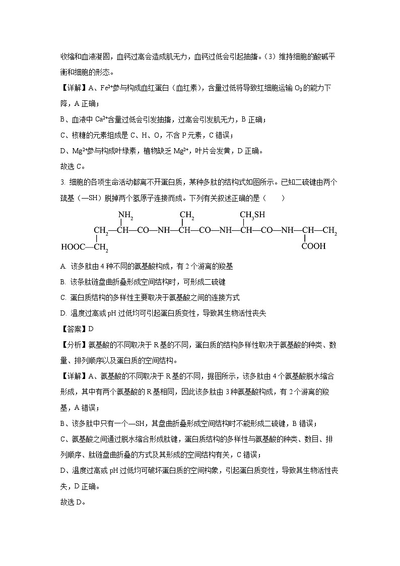 江西省吉安市2024-2025学年高一下学期开年摸底大联考生物试卷（解析版）第2页