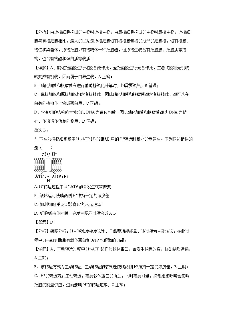 江西省南昌市2023-2024学年高一下学期7月期末生物试卷（解析版）第2页