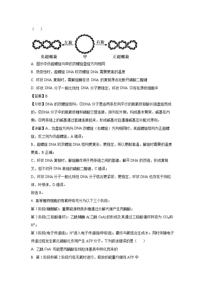 江西省九师联盟2024-2025学年高三上学期期末考试生物试卷（解析版）第3页