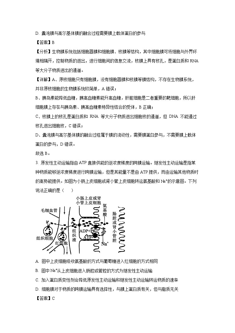江西省上饶市余干县2025届高三上学期第一次模拟考试生物试卷（解析版）第2页