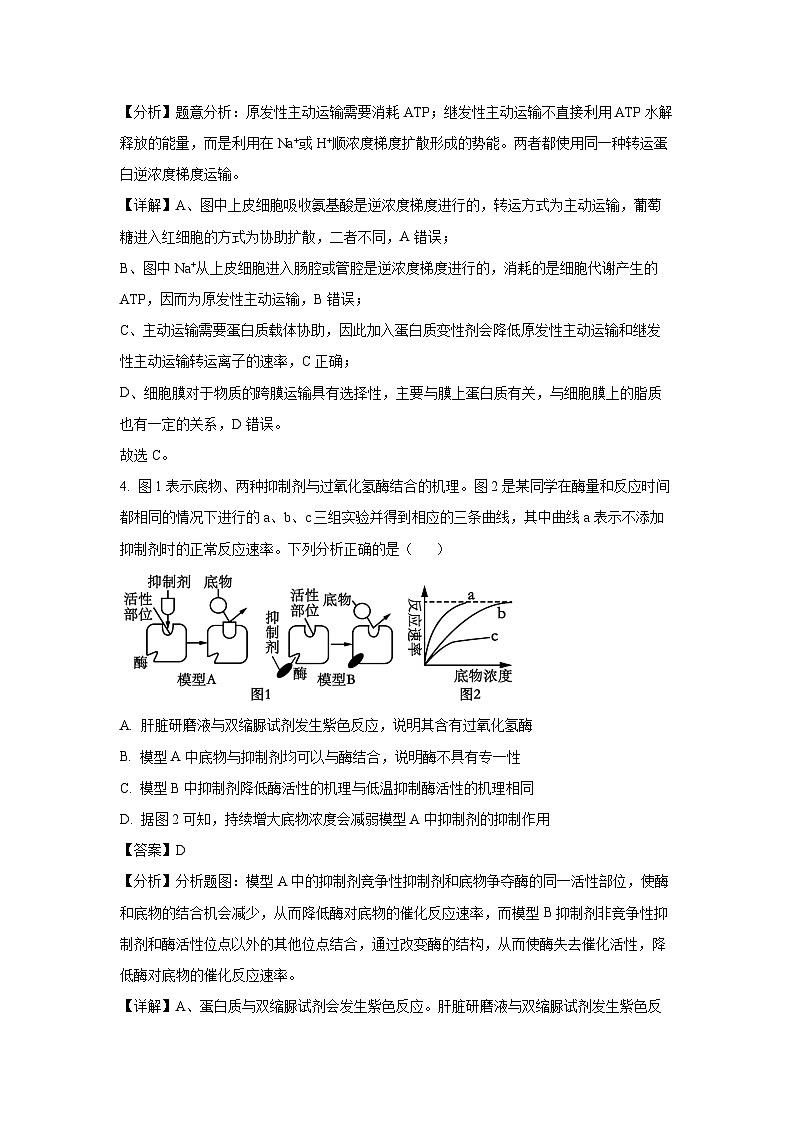 江西省上饶市余干县2025届高三上学期第一次模拟考试生物试卷（解析版）第3页