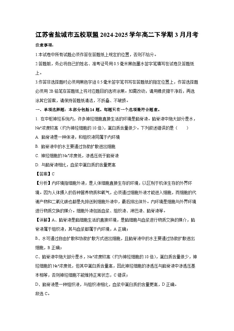 江苏省盐城市五校联盟2024-2025学年高二下学期3月月考生物试卷（解析版）第1页