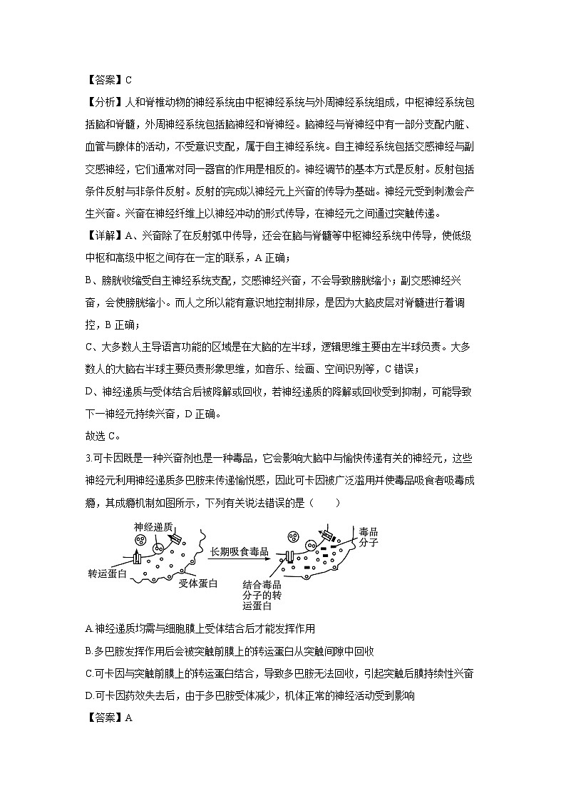 江苏省宿迁市泗阳县2024-2025年高二上学期期末考试生物试卷（解析版）第2页
