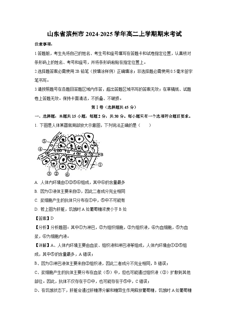 山东省滨州市2024-2025学年高二上学期期末考试生物试卷（解析版）第1页