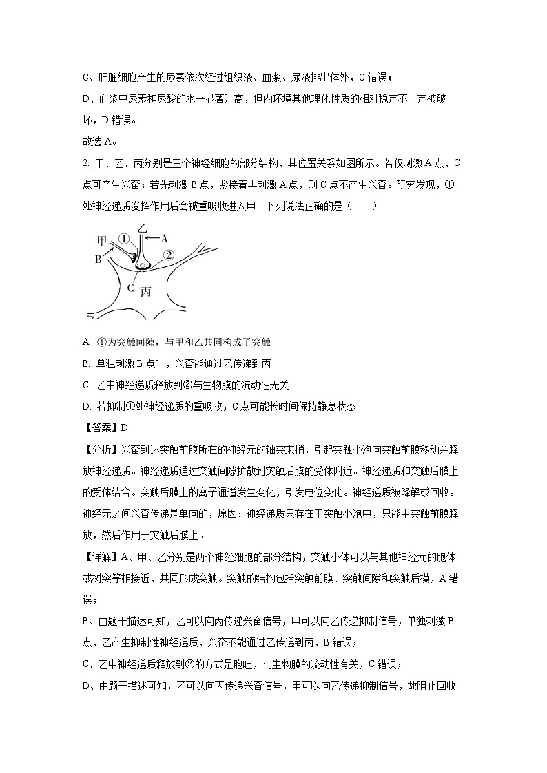 山东省济宁市2024-2025学年高二上学期1月期末考试生物试卷（解析版）第2页