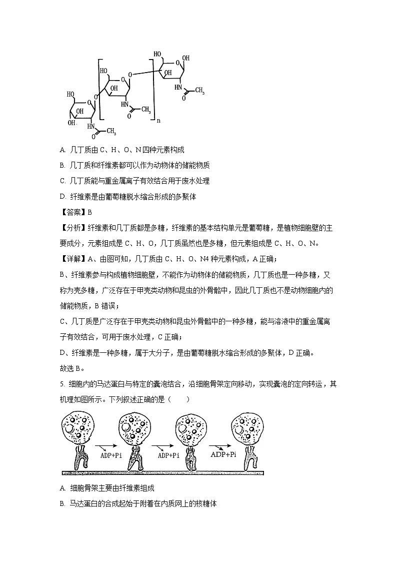 山东省济宁市2024-2025学年高一上学期1月期末生物试卷（解析版）第3页