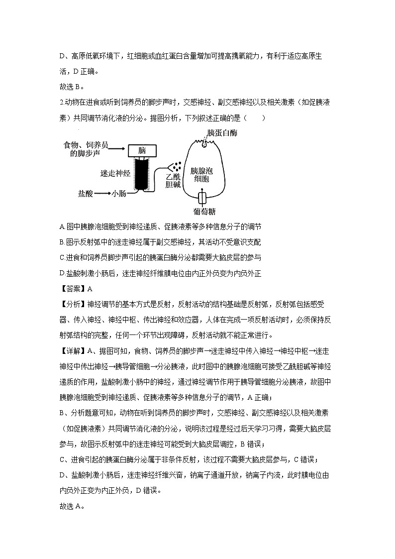 山东省日照市校际联合考试2024-2025学年高二上学期1月期末生物试卷（解析版）第2页