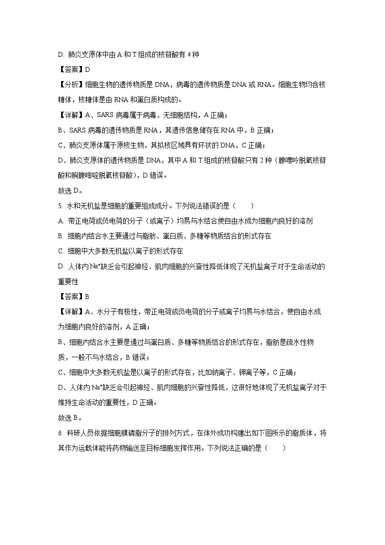 山东省威海市2024-2025学年高一上学期期末考试生物试卷（解析版）第3页