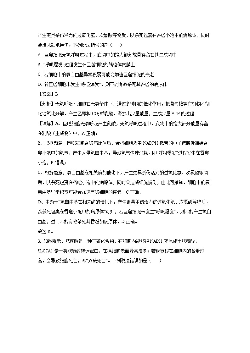 山东泰安市2025年高三一模[高考模拟]生物试卷（解析版）第2页