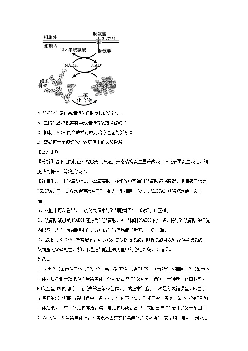 山东泰安市2025年高三一模[高考模拟]生物试卷（解析版）第3页