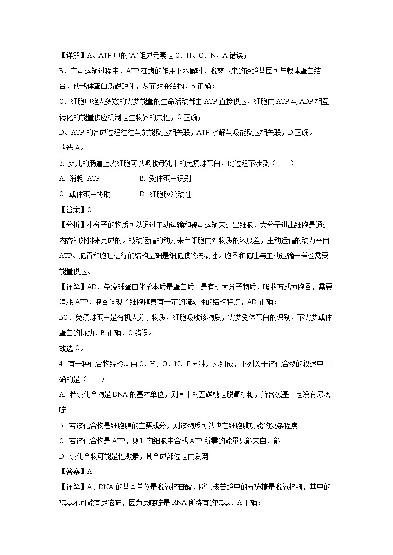 安徽省安庆市桐城市桐城中学2024-2025学年高一下学期开学测试生物试卷（解析版）第2页