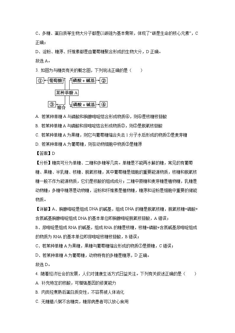 天津市四校联考2024-2025学年高一上学期期末生物试卷（解析版）第2页
