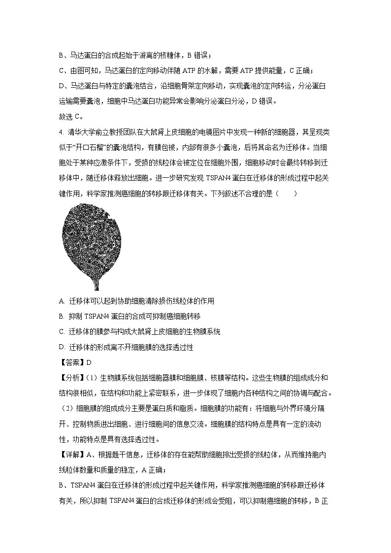 安徽省2025届蚌埠六校联考高考模拟生物试卷（解析版）第3页