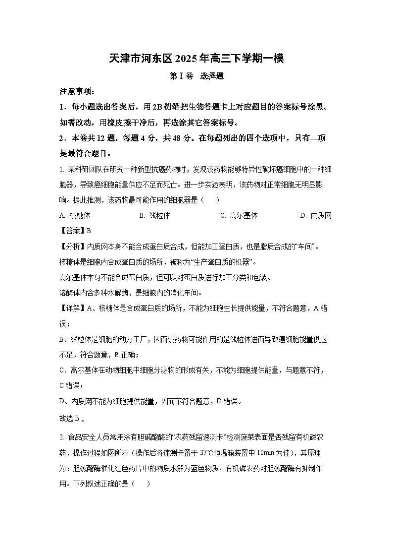 天津市河东区2025年高三下学期一模生物试卷（解析版）第1页
