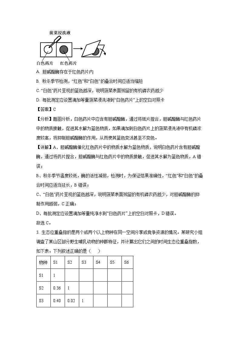 天津市河东区2025年高三下学期一模生物试卷（解析版）第2页