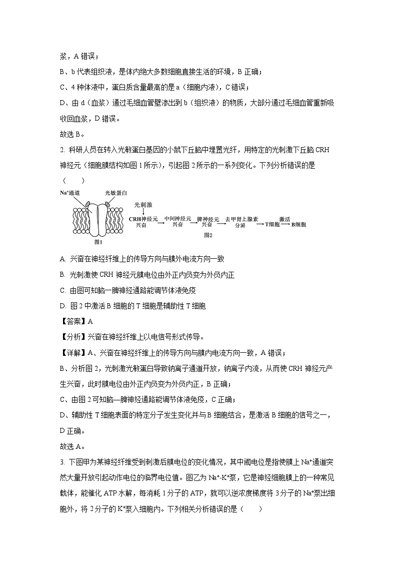 四川省成都市蓉城联盟2024-2025学年高二上学期12月期末生物试卷（解析版）第2页