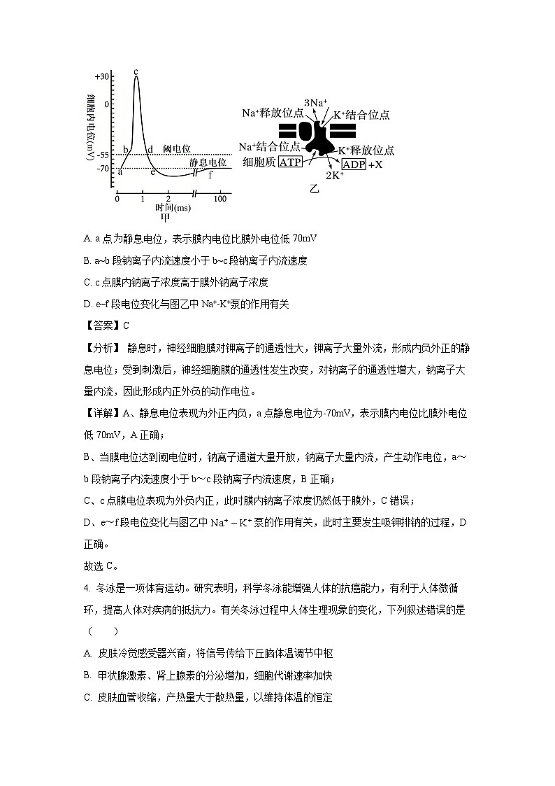 四川省成都市蓉城联盟2024-2025学年高二上学期12月期末生物试卷（解析版）第3页